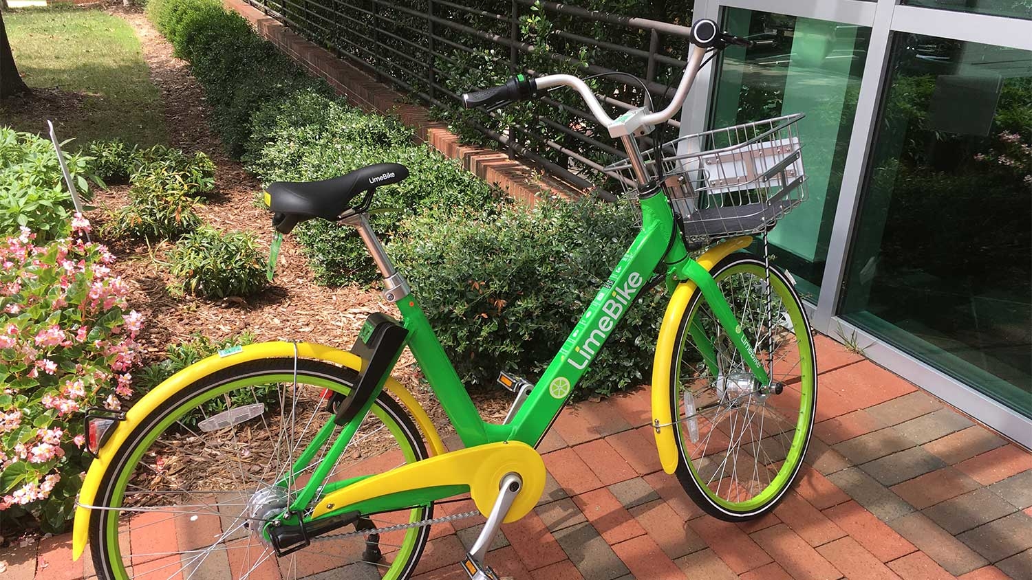 Lime bike on campus