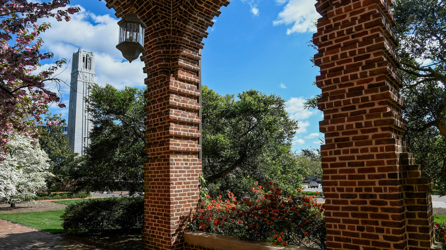 The NC State belltower framed by the arches of Holladay Hall.